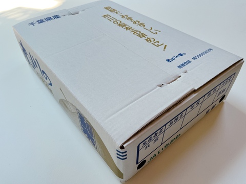 夏の定番🍏　千葉県産【幸水】5㎏　お手頃サイズ『14～20玉入』市川のなし・秀品