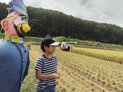 新米 令和7年産 強い粘りのミルキークイーン 一等米　5㎏