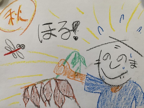 甘くて美味しい安納芋・種子島産・有機農業・ご家庭で焼きやすい中小サイズ・4kg