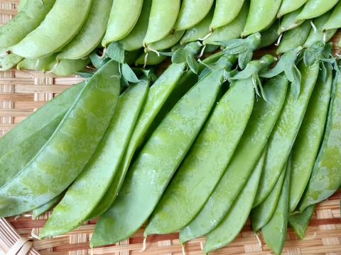 甘くてみずみずしい！自然栽培のスナップエンドウ200g&絹さやエンドウ100g