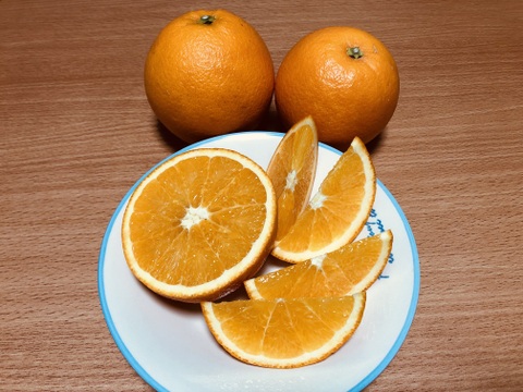 ぽんかんとネーブル食べ比べセット４kg　甘みと芳醇な香りが美味しい😋朝摘みぽんかん1.5kg＋酸味と甘みが調和した独特の旨みネーブル2.5kg【柑橘食べ比べ】