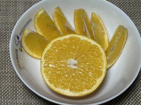 『紀の川八朔』　チョイ傷　Mサイズ（少しLサイズ混合）
箱込み10kg　もうすぐ終売。7箱限定お得です！