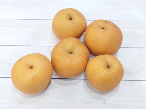 【加工向け】梨 おまかせ詰め合わせ約3kg【緩衝材無し】