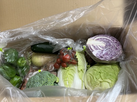 【10日分の野菜！】旬の野菜セット9～12品【農薬・化学肥料不使用】