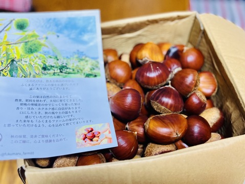 くまの大ちゃん様専用☆ミックス６キロ