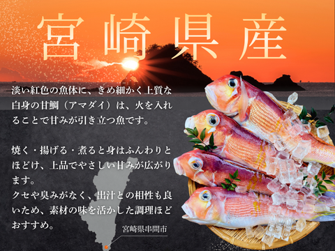 【家庭料理に】ふっくらやさしい甘みの甘鯛（３kg）