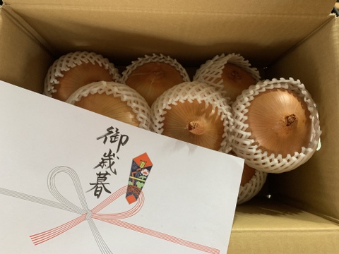 【冬ギフト】淡路島極熟玉葱9玉🧅玉ねぎ大国淡路島からの玉ねぎ