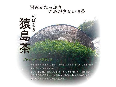 お茶【海外向け】SASHIMA YUZU JAPANESE BLACK TEA／2g×10　×3袋 ゆず 和紅茶 ティーバッグ
