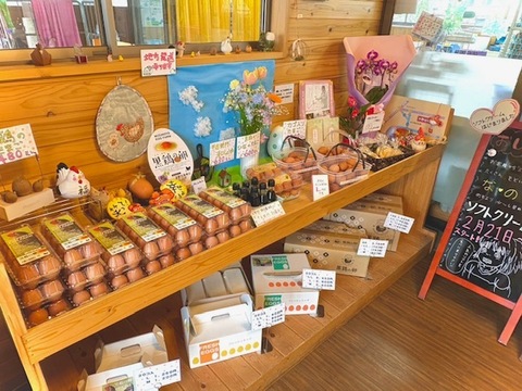 濃厚！希少品種『ネラ』の黒鶏（くろどり）の卵（30個入）