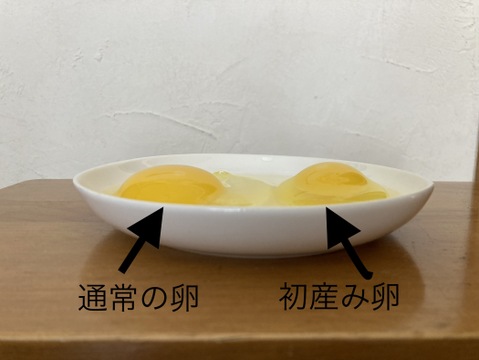 🌸ご予約受付中🎵　🐓春だけのお楽しみ「初産み卵」🥚✨