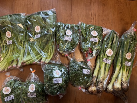 濃甘！野菜セット5種類×2倍量 農薬・化学肥料不使用♪個包装