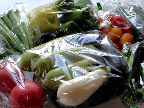 【夏ギフト】おー！カラフル！納涼★お祭りセット！カラフル野菜で猛暑払い！
～農薬/化学肥料・不使用