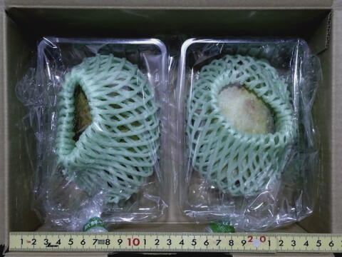 幻の果実✨ポポー❗️約750g【2〜6個】最高の美肌食材❗️