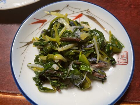 希少な山菜！春の女神 カタクリ ２００ｇ