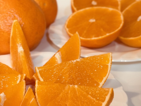 【とろけるゼリー食感】完熟ハウス 福まどんな《ご家庭用 5kg》｜サイズ混合｜愛媛・西宇和産