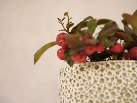 ミニ盆栽【チェッカーベリー × 白泡模様陶器】高さ約17cm×横約19cm【朝市限定】