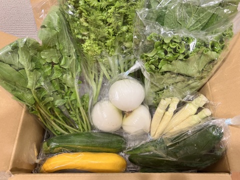 ＼シャキうま！／南房総の旬野菜セット！セレクトおまかせ【8品目】