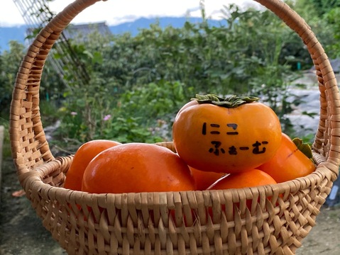 【福袋】👑王様しいたけ＆しあわせ椎茸のご褒美福袋🍄【冬ギフト】