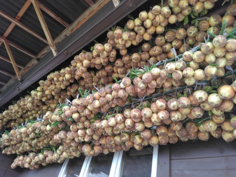 グリーンピースのクリームスープ