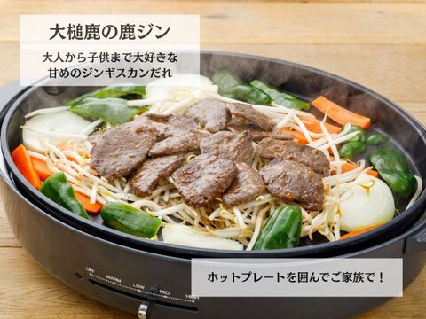 【冬ギフト】鹿肉初心者におすすめ！味付鹿肉食べ比べセット　200g×2p