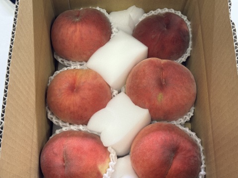 桃の概念が変わる硬さ【おどろき】訳あり品・ご家庭用 2kg