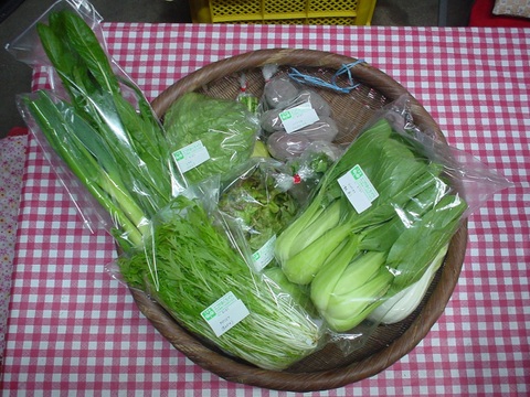 旬の野菜セット１０品目以上（農薬不使用、化学肥料不使用栽培）