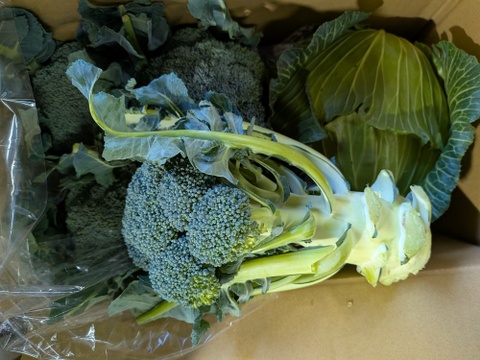 😊順ちゃんセット😊