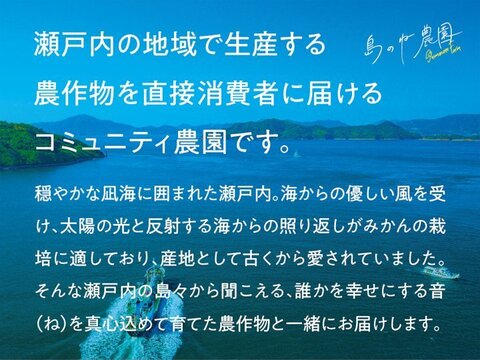 みかん 有機栽培 島のね農園【訳あり/愛媛みかん/栽培期間中農薬不使用/3kg】