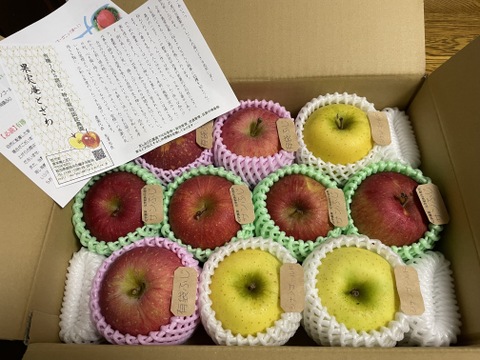 ☆農薬不使用りんご☆と特別栽培りんご(品種おまかせ)詰め合わせ3キロ（８〜１２玉）