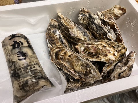 限定100個！生食用 殻付き1.5kg＆剥き身300gお試しセット  宮城県産 殻付き 牡蠣 殻付き牡蠣 殻付カキ 生食 オイスター  牡蛎  BBQ バーベキュー 無選別
