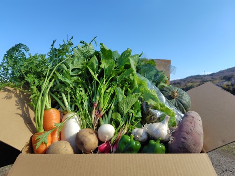 自然栽培のお野菜詰合せ【お試し用】