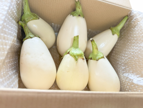 とろけるような食感と甘み。とろ～り旨なす/約2kg4~6個入り(茨城県産)