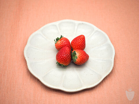 あま〜い♡がギュッとつまった新品種『とちあいか』3箱12パック(1箱で満足1,4kg以上)