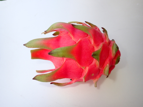 甘～い夏の沖縄ドラゴンフルーツ赤（ご家庭用）