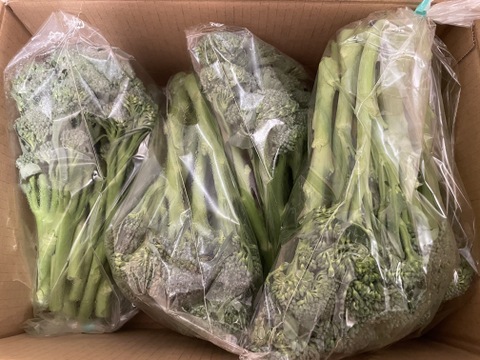 ［2kg］甘くてジューシー♪栄養満点スティックセニョール（茎ブロッコリー）