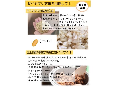 熟成玄米ご飯手作りセット×２袋・熟成３日発芽玄米パックご飯×３個