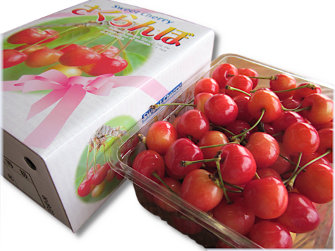 【 ご家庭用:紅秀峰 】山形県産 500g 🍒サイズM〜LLL お楽しみ商品になります^_^！！