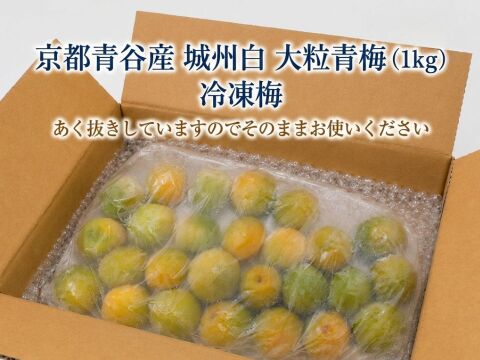 青梅 約9kg 2026年収穫分】京都青谷産 冷凍青梅 約1kg 青梅 少々斑点傷あり