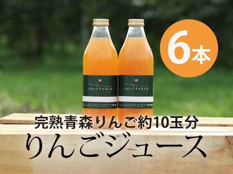完熟青森りんご100%【しぼってそのまんま】濃厚りんごジュース(1L×6本入)