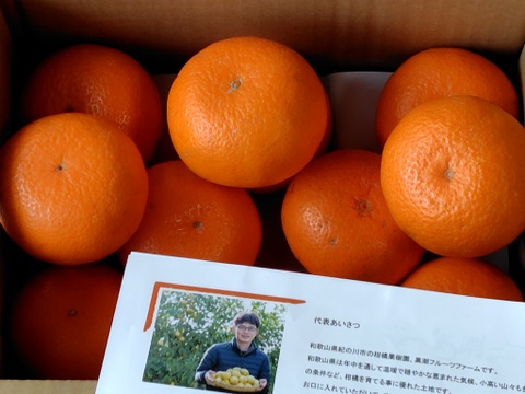 【気品香る柑橘】くろしお津之望 （つののぞみ）2ｋｇ（箱込み）