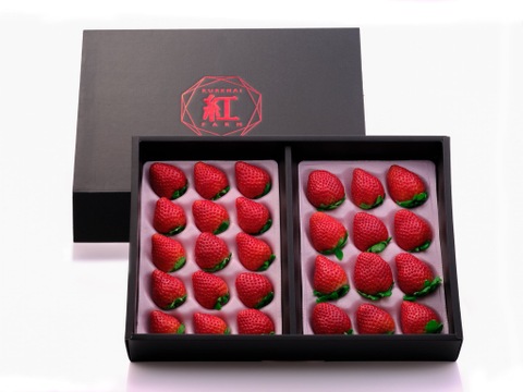 【ギフト】とちおとめ・とちあいか食べ比べセット