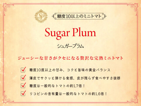 シュガープラム1kg 糖度10度以上の高リコピン(13mg)極甘・完熟・高糖度ミニトマト　ジューシーな甘さがクセになる(300003)