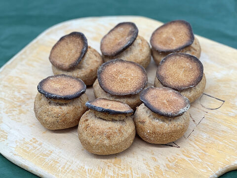 【超貴重な有機JAS認証パン】Singleパン㉛：麦の栽培から一貫生産　自然栽培小麦のみ使用したシャンピニオン8個