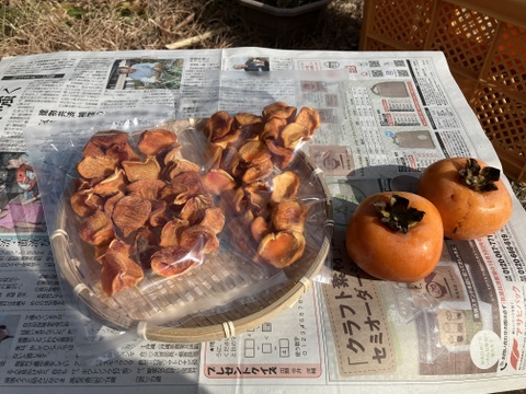 一口サイズ♪ 自然栽培干し柿ブロック100g2袋