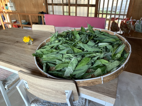 奥出雲産自然栽培くま笹茶(25g×2袋)