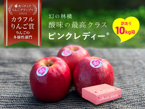 発送中🍎ヒルナンデスでました！】ピンクレディー®︎ 10キロ訳あり品 加工用にご利用ください！長野県 信州 安曇野 リンゴ 幻 幻のリンゴ 予約 希少 旬 ID62476 ピンクレディー