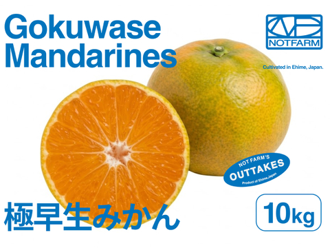 【美味しさそのまま】訳あり愛媛みかん 10kg 極早生みかん Gokuwase Mikan
