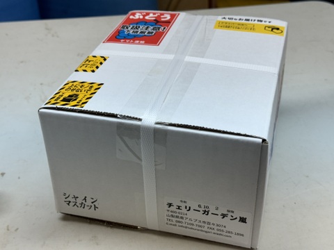 山梨県産【シャインマスカット】ご家庭用(訳あり品) 粒売りパック詰め1kg 種無し　本州のみ　常温便