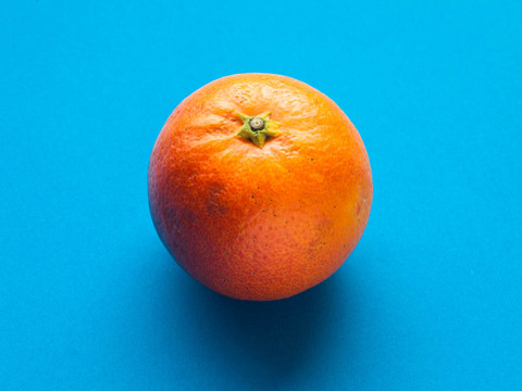 【広島県産】ブラッドオレンジ(2㎏) モロ種