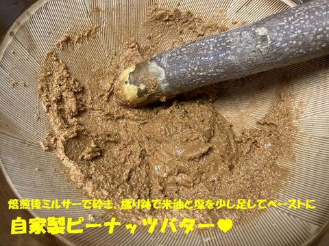 乾燥生落花生500g【ジャンボピーナッツ・極大粒・殻付き】【農薬・化学肥料不使用】【天日乾燥】【令和6年・岐阜県産】【レターパック配送】
